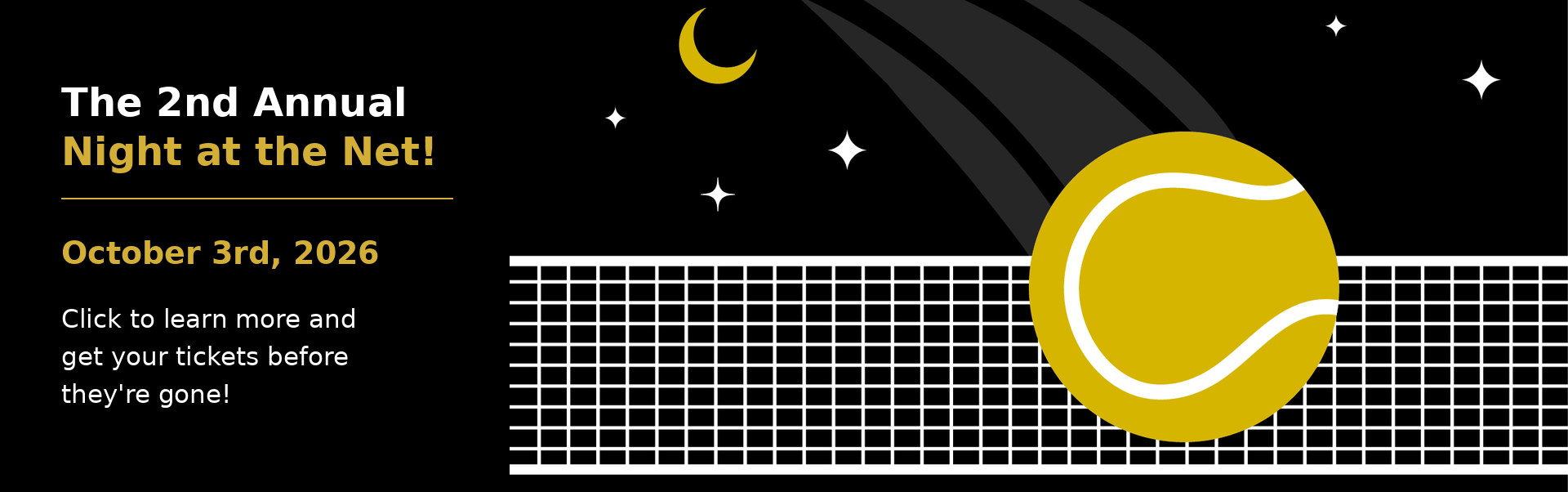 Night-at-the-Net-1